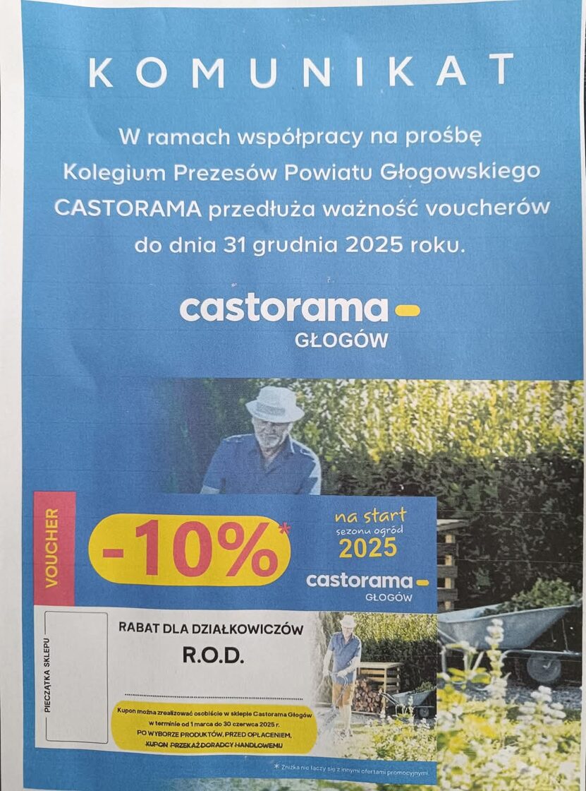 Castorama.jpg